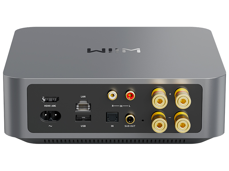 WiiM_Amp-Pro_Back WiiM Amp Pro vista posteriore