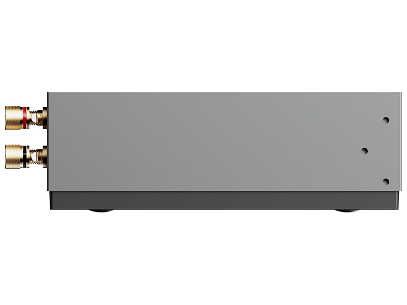 WiiM_CI-MOD-A80_Side Wiim CI mod a80 vista laterale