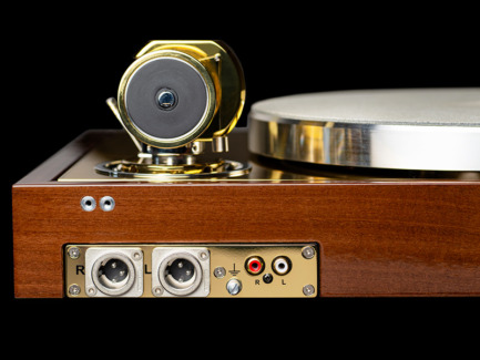 Pro-Ject The Classic Reference Acacia Brass vista posteriore