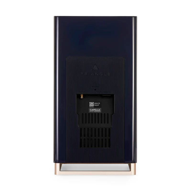 TRIANGLE-CAPELLA-Blue-back Triangle Capella astral blue vista posteriore