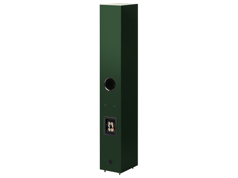 Pro-Ject-Speaker_Box_12_E_Carbon-satin_fir_green-back pro-ject speaker box 12 e carbon satin fir green vista posteriore