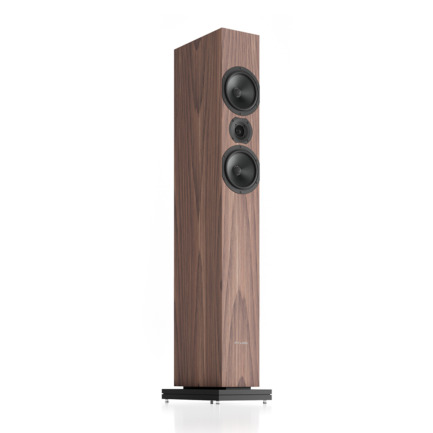 pylon audio zirkon 20 walnut vista frontale