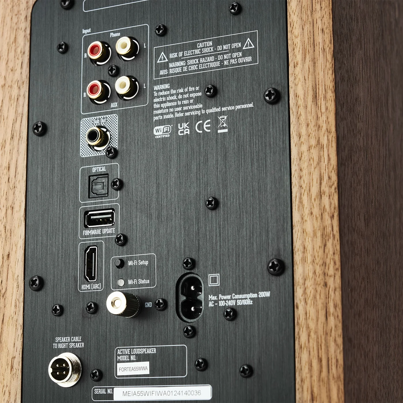 argon-audio-forte-a55-wifi-walnut-connections argon audio forte a55 wifi walnut connessioni